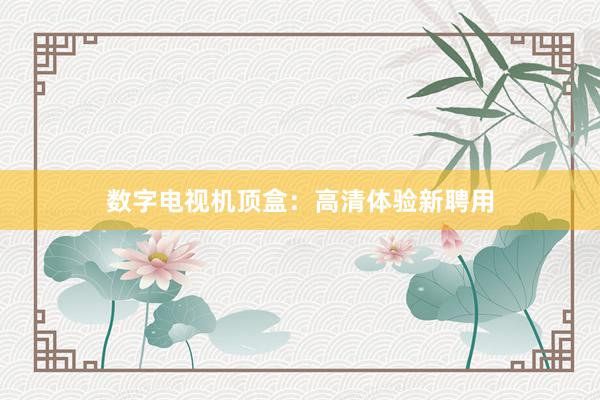 数字电视机顶盒：高清体验新聘用