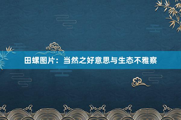 田螺图片：当然之好意思与生态不雅察
